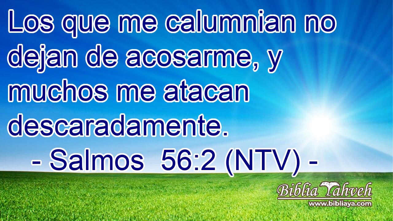 Los que me calumnian no dejan de acosarme, y muchos me atacan descaradamente.