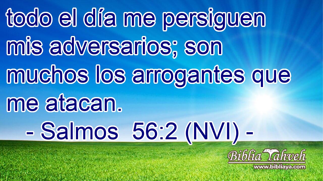  todo el día me persiguen mis adversarios; son muchos los arrogantes que me atacan. 