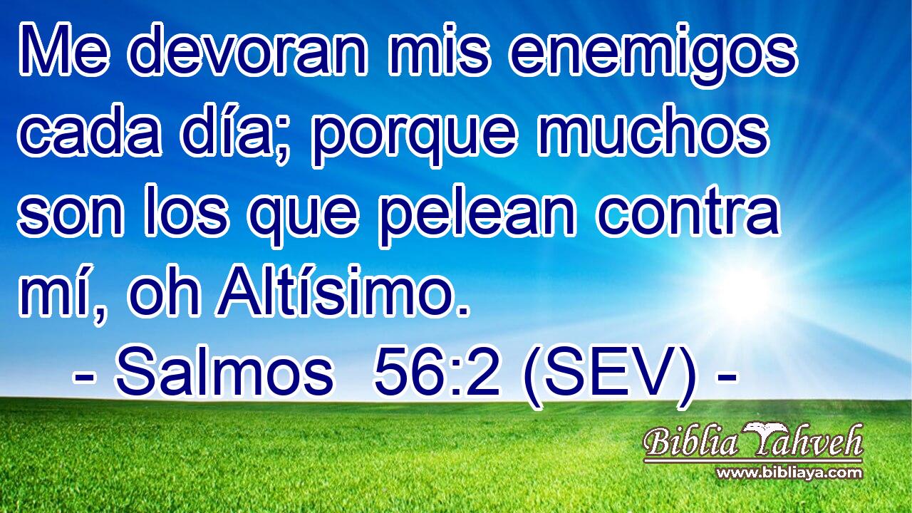 Me devoran mis enemigos cada día; porque muchos son los que pelean contra mí, oh Altísimo.