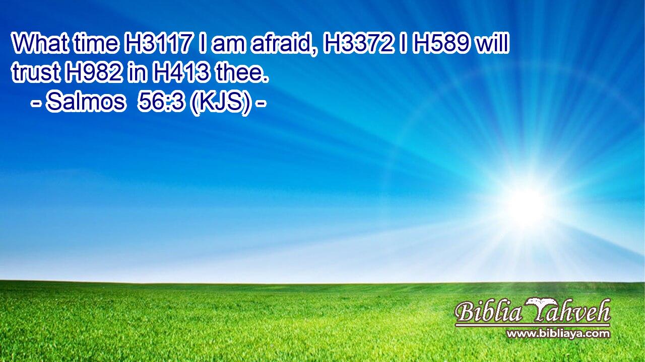 What time H3117 I am afraid, H3372 I H589 will trust H982 in H413 thee.