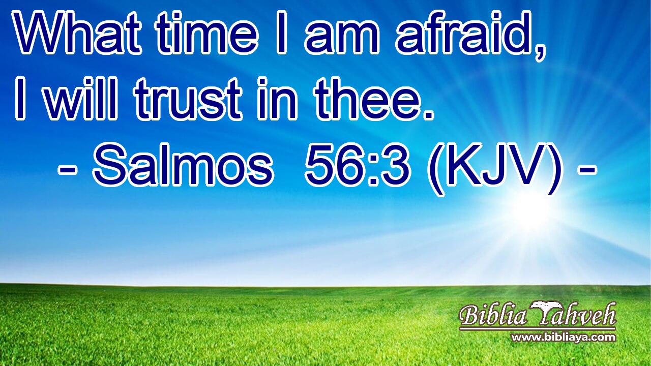 What time I am afraid, I will trust in thee.