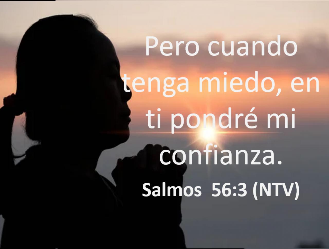 Pero cuando tenga miedo, en ti pondré mi confianza.