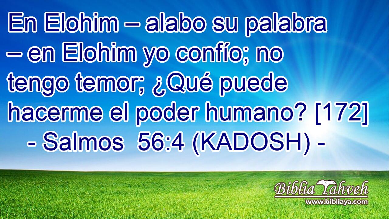  En Elohim – alabo su palabra – en Elohim yo confío; no tengo temor; ¿Qué puede hacerme el poder humano? [172] 