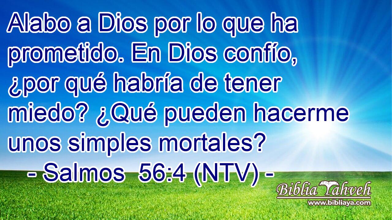 Alabo a Dios por lo que ha prometido. En Dios confío, ¿por qué habría de tener miedo? ¿Qué pueden hacerme unos simples mortales?