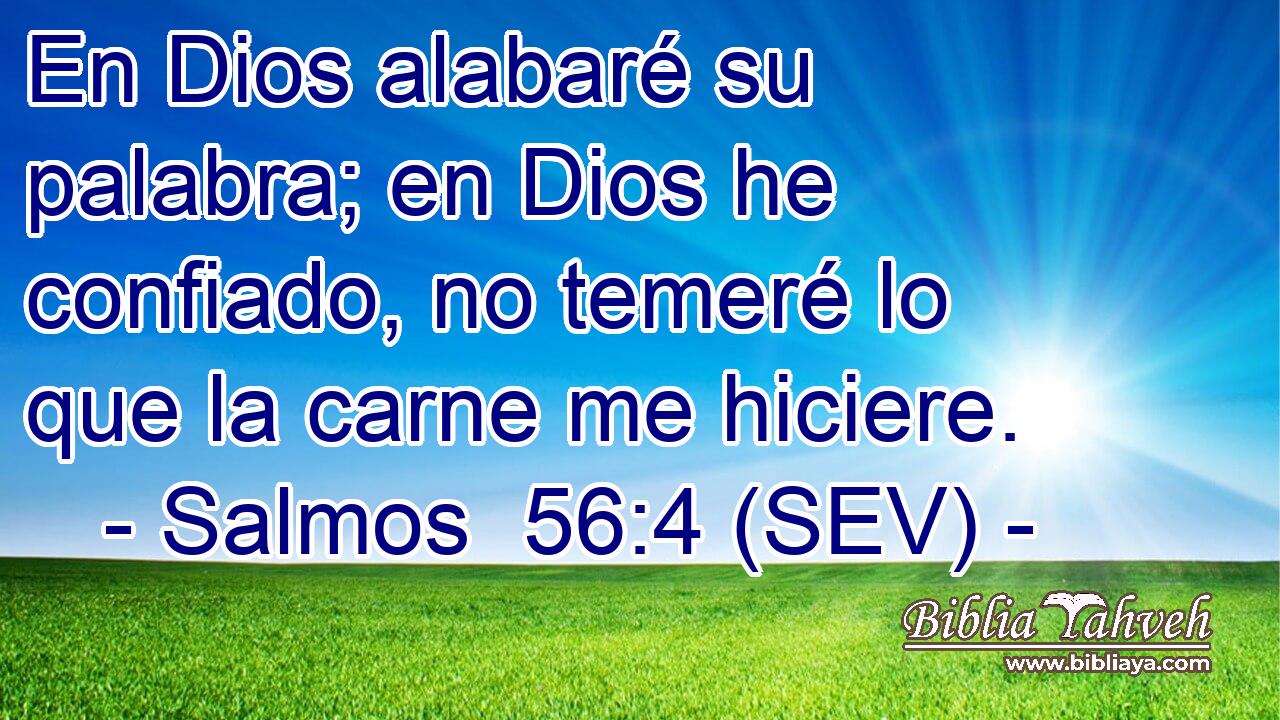 En Dios alabaré su palabra; en Dios he confiado, no temeré lo que la carne me hiciere.