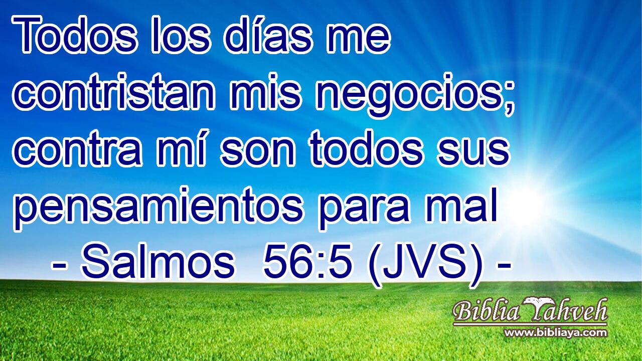 Todos los días me contristan mis negocios; contra mí son todos sus pensamientos para mal