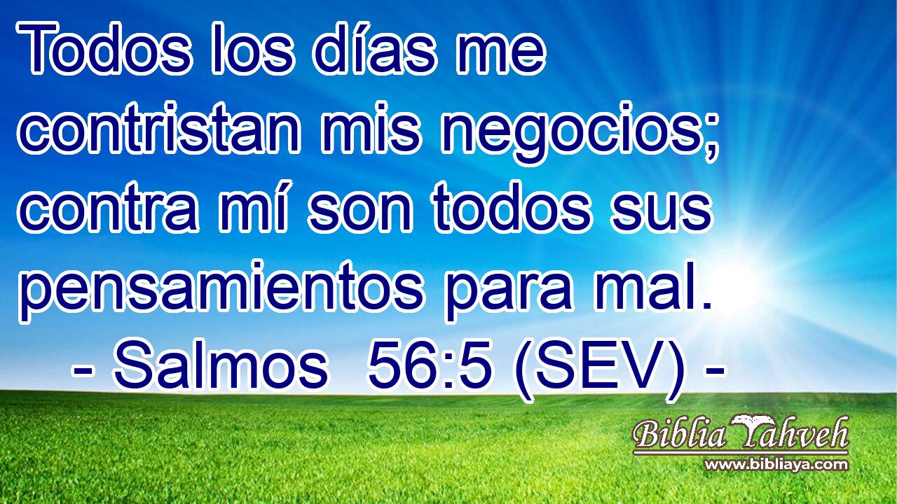 Todos los días me contristan mis negocios; contra mí son todos sus pensamientos para mal.