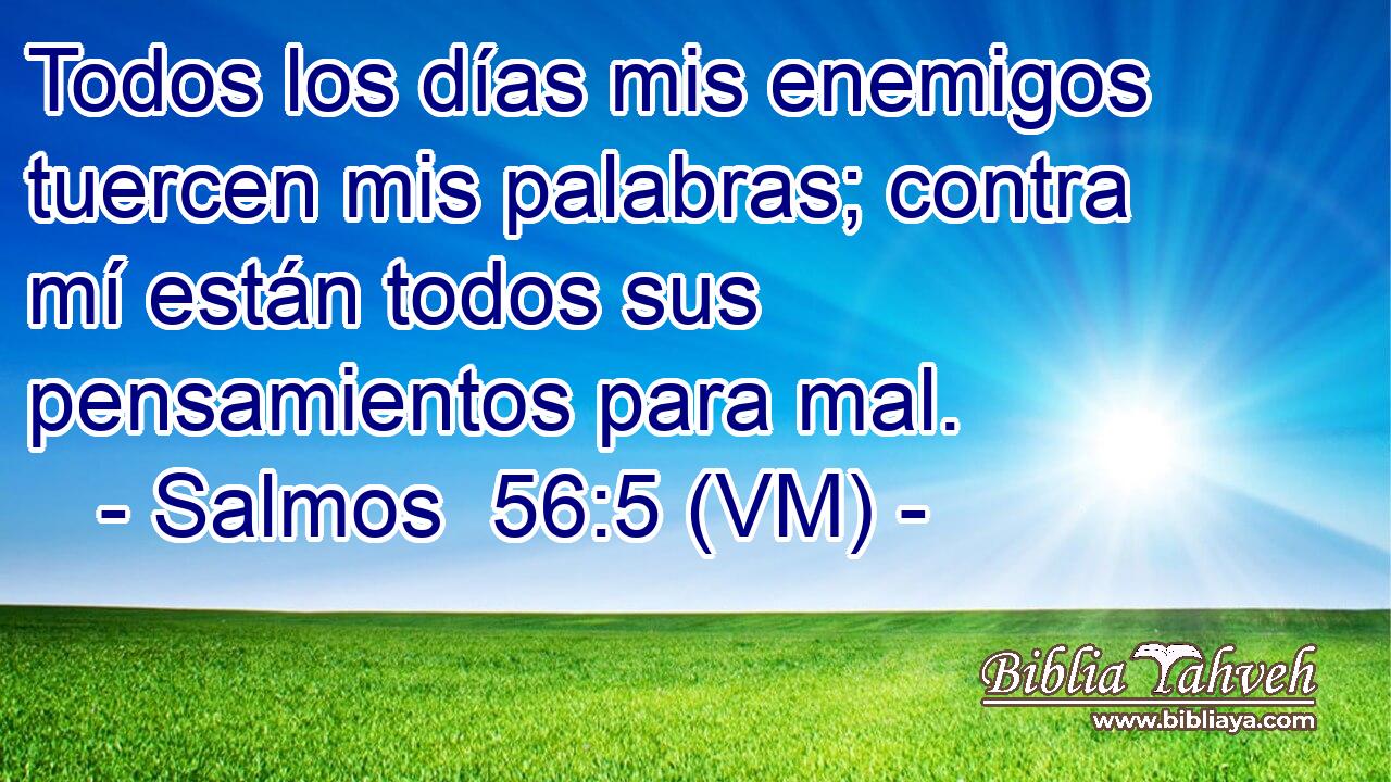 Todos los días mis enemigos tuercen mis palabras; contra mí están todos sus pensamientos para mal. 