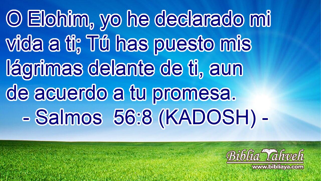  O Elohim, yo he declarado mi vida a ti; Tú has puesto mis lágrimas delante de ti, aun de acuerdo a tu promesa. 