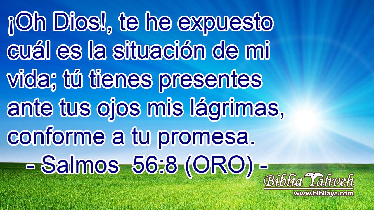  ¡Oh Dios!, te he expuesto cuál es la situación de mi vida; tú tienes presentes ante tus ojos mis lágrimas, conforme a tu promesa. 
