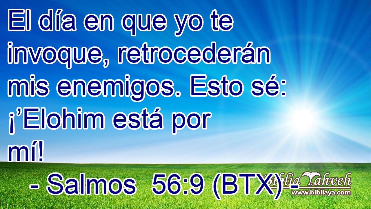 El día en que yo te invoque, retrocederán mis enemigos. Esto sé: ¡’Elohim está por mí!