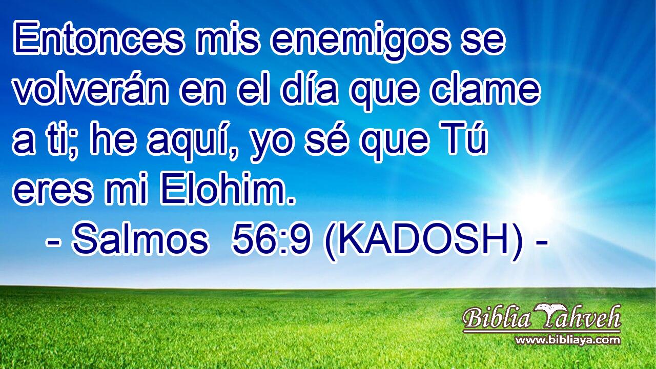  Entonces mis enemigos se volverán en el día que clame a ti; he aquí, yo sé que Tú eres mi Elohim. 