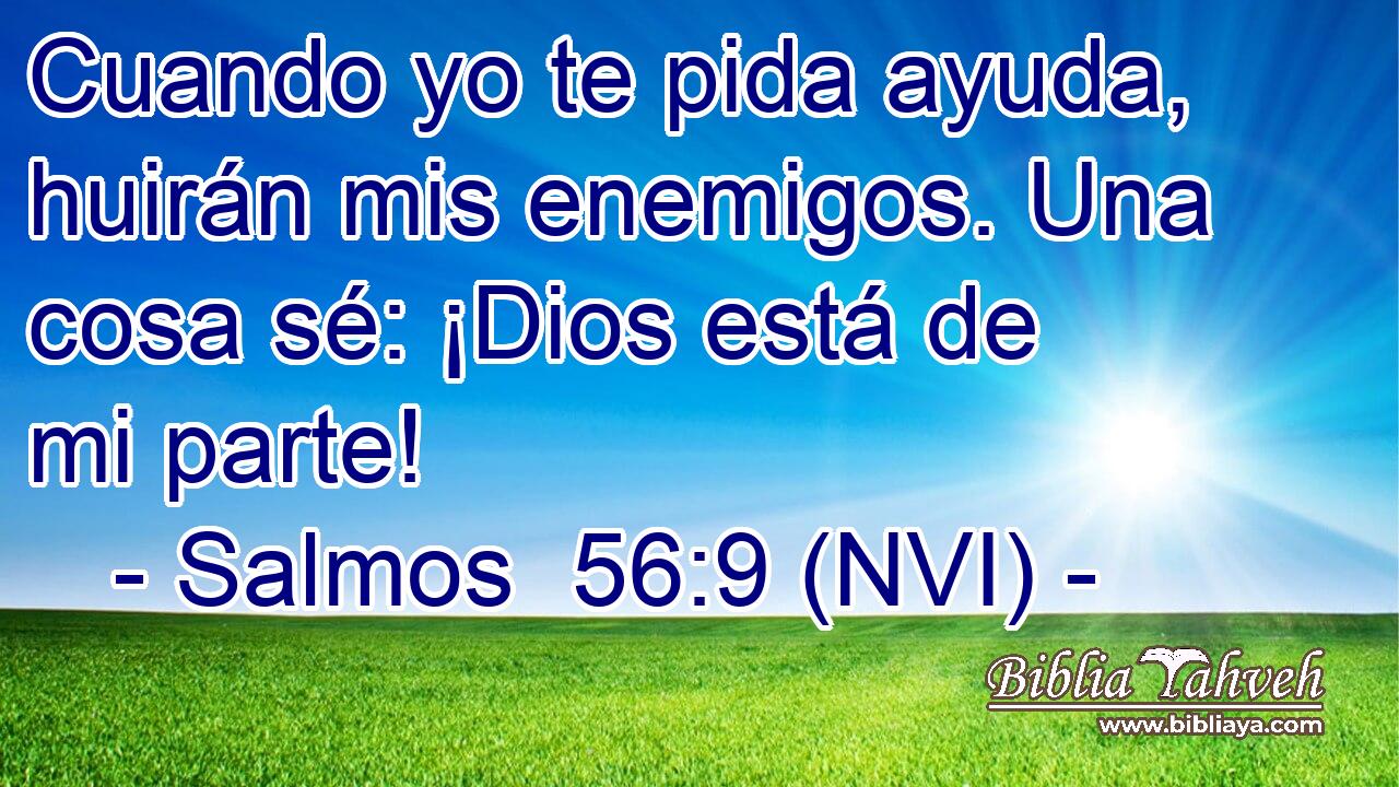  Cuando yo te pida ayuda, huirán mis enemigos. Una cosa sé: ¡Dios está de mi parte! 