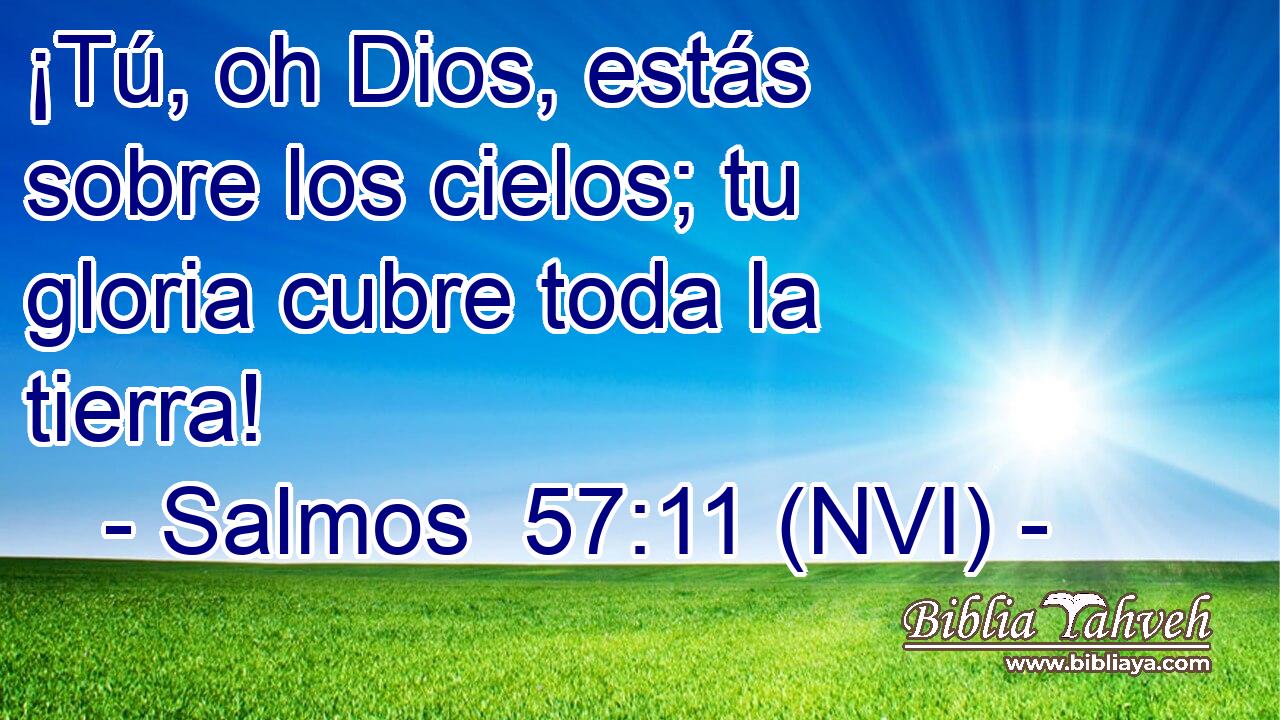 ¡Tú, oh Dios, estás sobre los cielos; tu gloria cubre toda la tierra! 