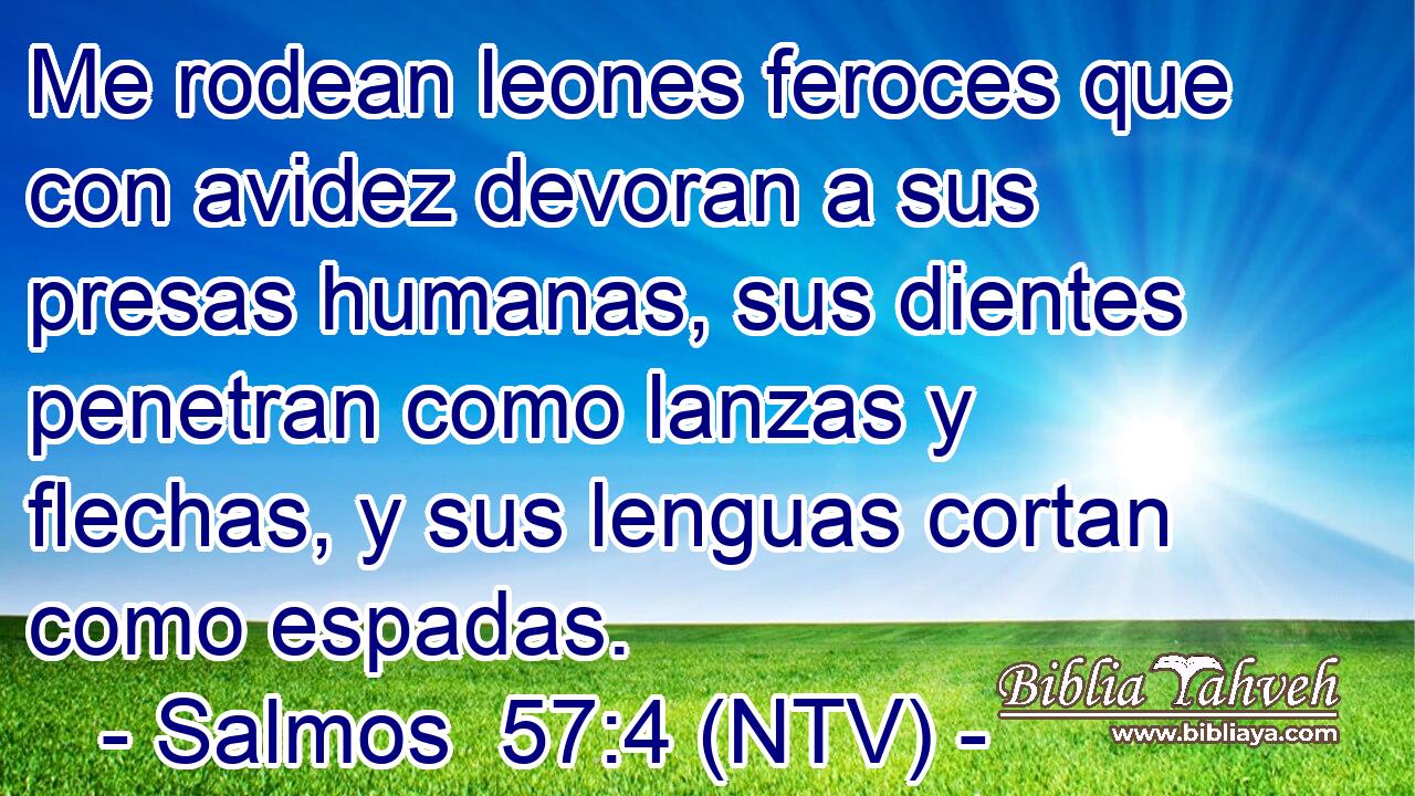 Me rodean leones feroces que con avidez devoran a sus presas humanas, sus dientes penetran como lanzas y flechas, y sus lenguas cortan como espadas.