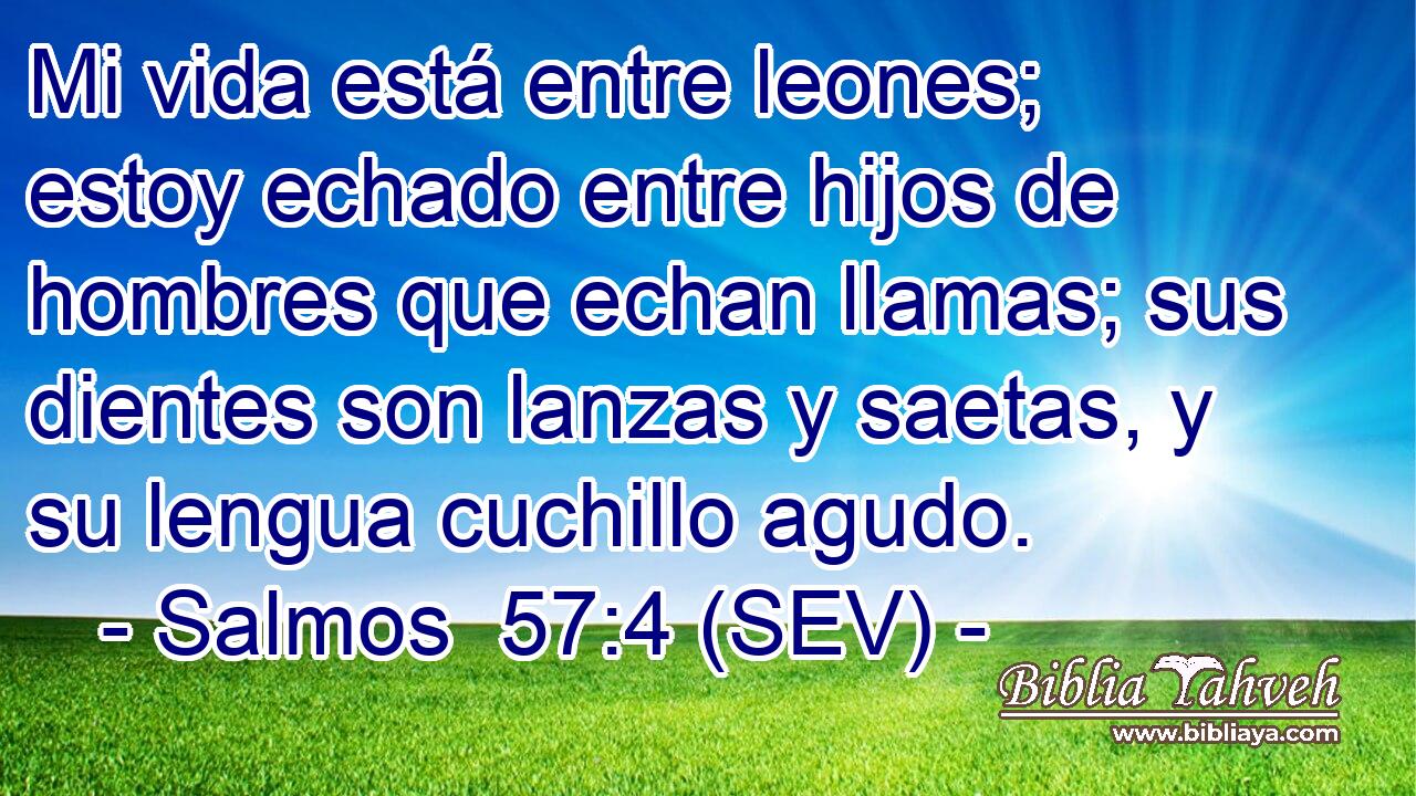 Mi vida está entre leones; estoy echado entre hijos de hombres que echan llamas; sus dientes son lanzas y saetas, y su lengua cuchillo agudo.