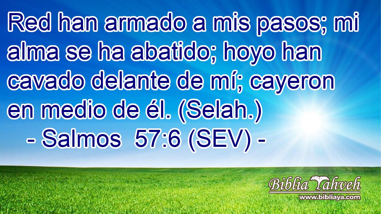 Red han armado a mis pasos; mi alma se ha abatido; hoyo han cavado delante de mí; cayeron en medio de él. (Selah.)