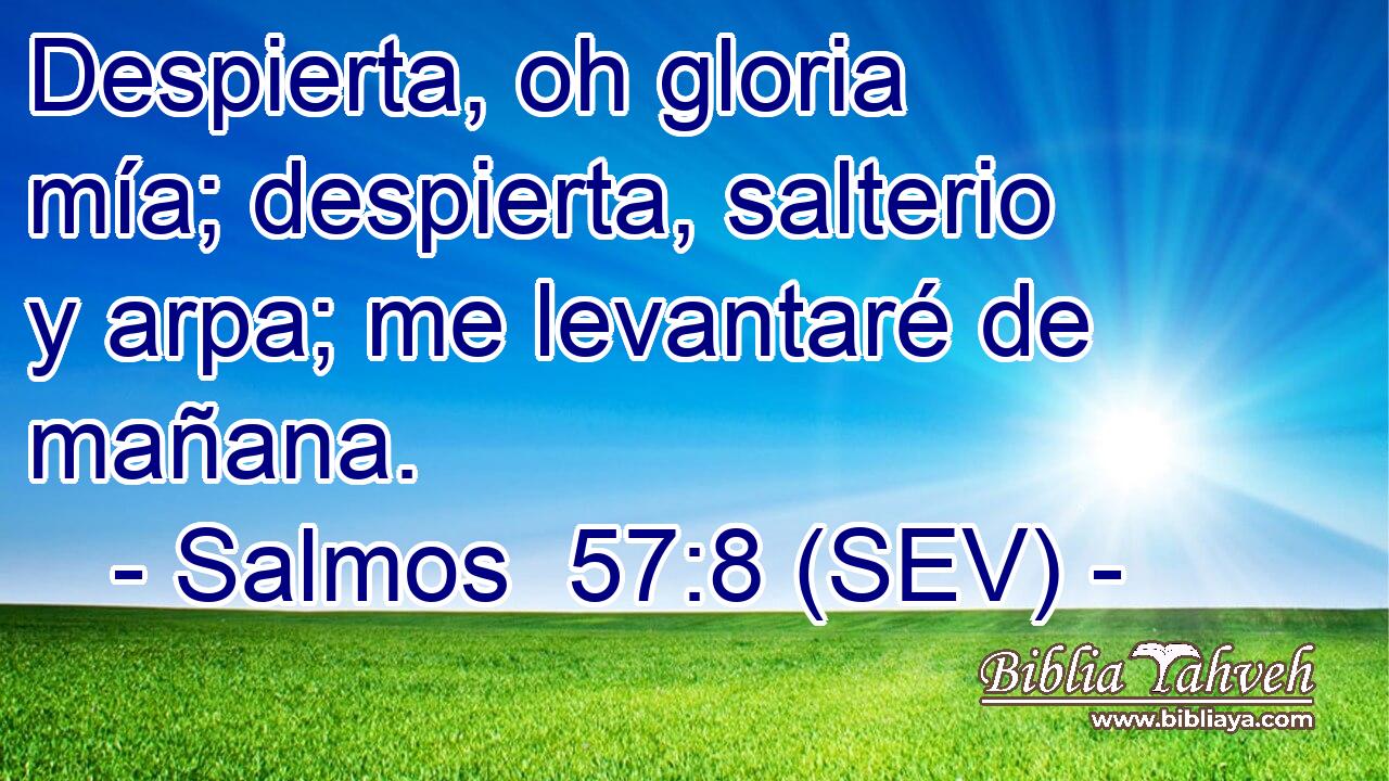 Despierta, oh gloria mía; despierta, salterio y arpa; me levantaré de mañana.