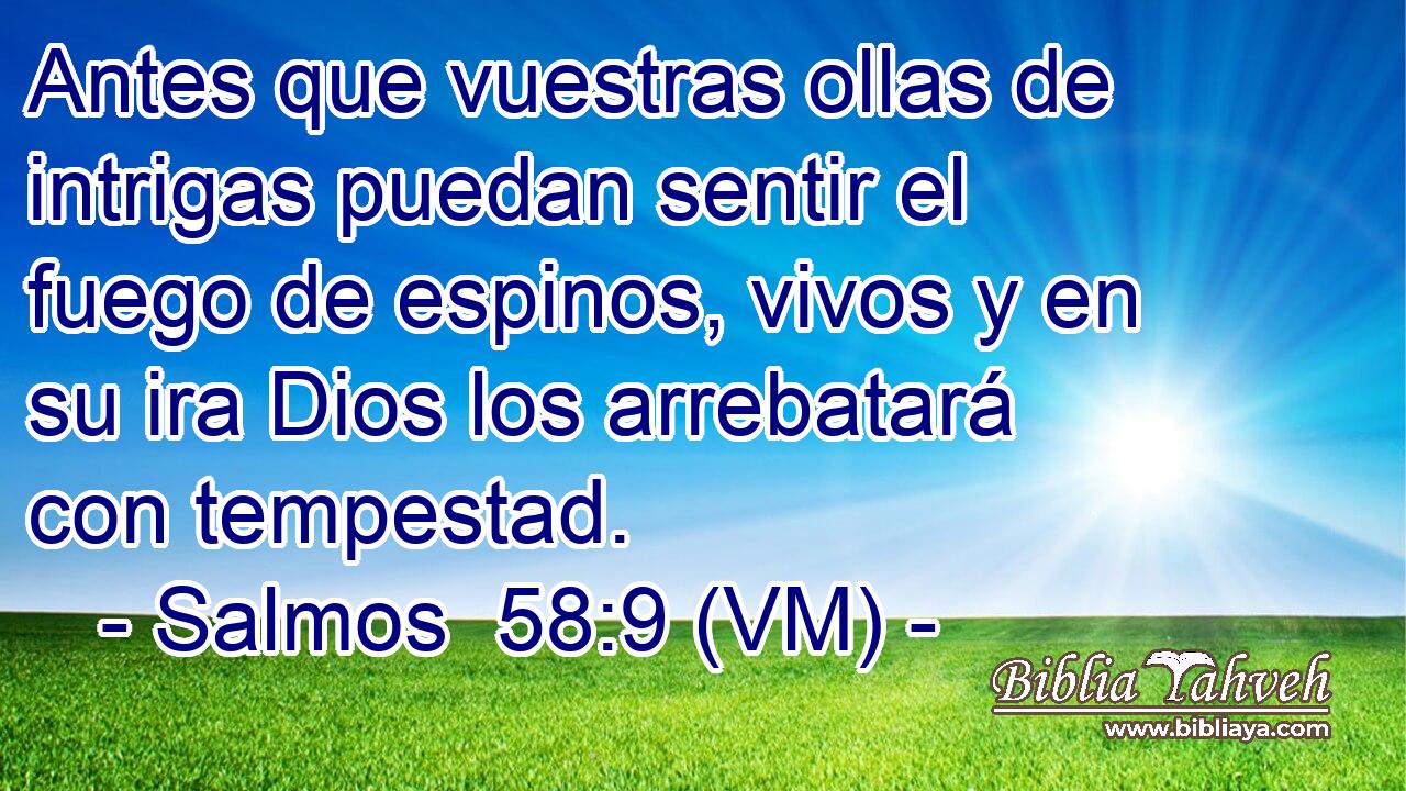  Antes que vuestras ollas de intrigas puedan sentir el fuego de espinos, vivos y en su ira Dios los arrebatará con tempestad. 