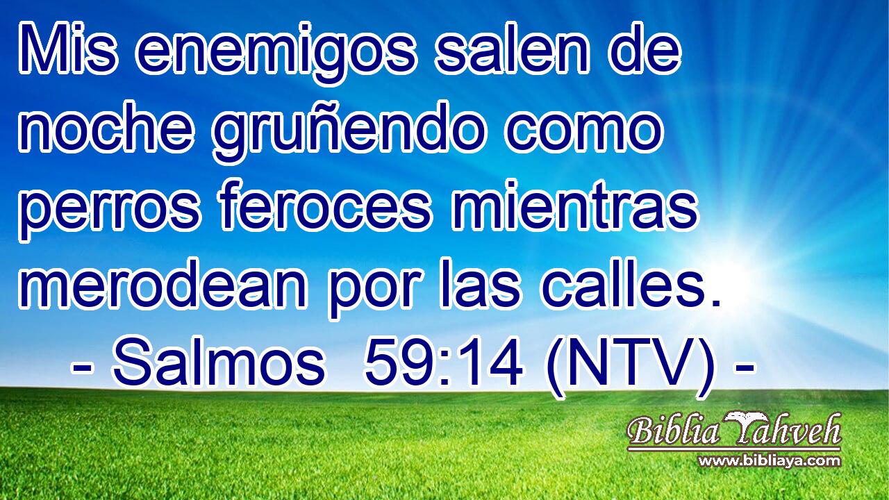 Mis enemigos salen de noche gruñendo como perros feroces mientras merodean por las calles.