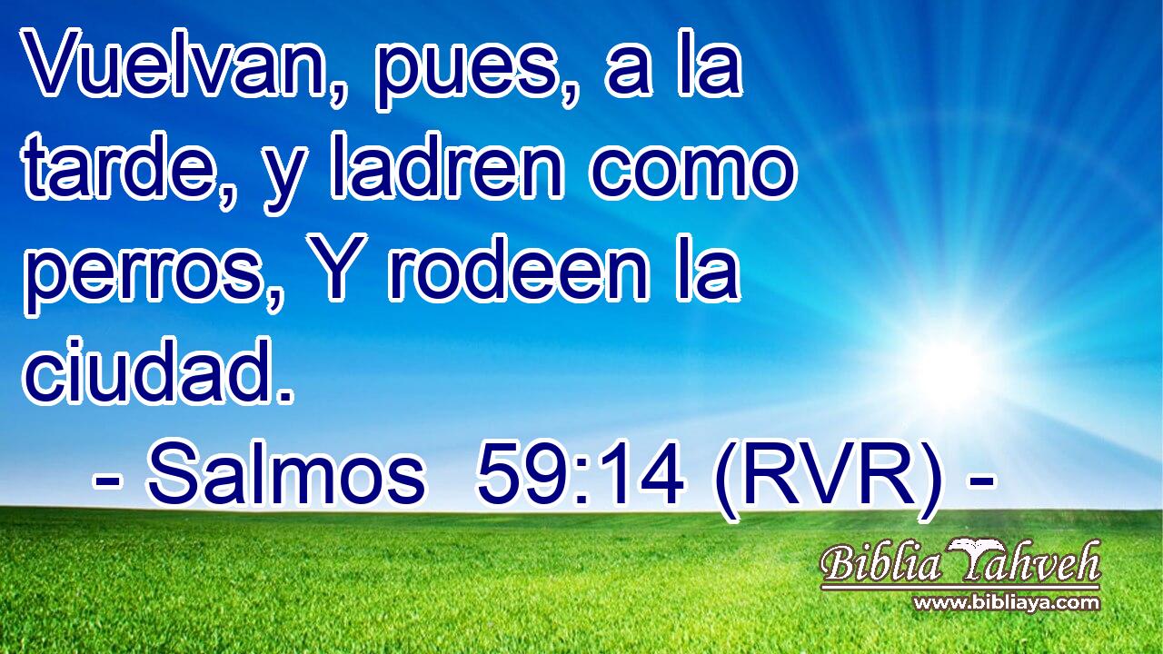 Vuelvan, pues, a la tarde, y ladren como perros, Y rodeen la ciudad.