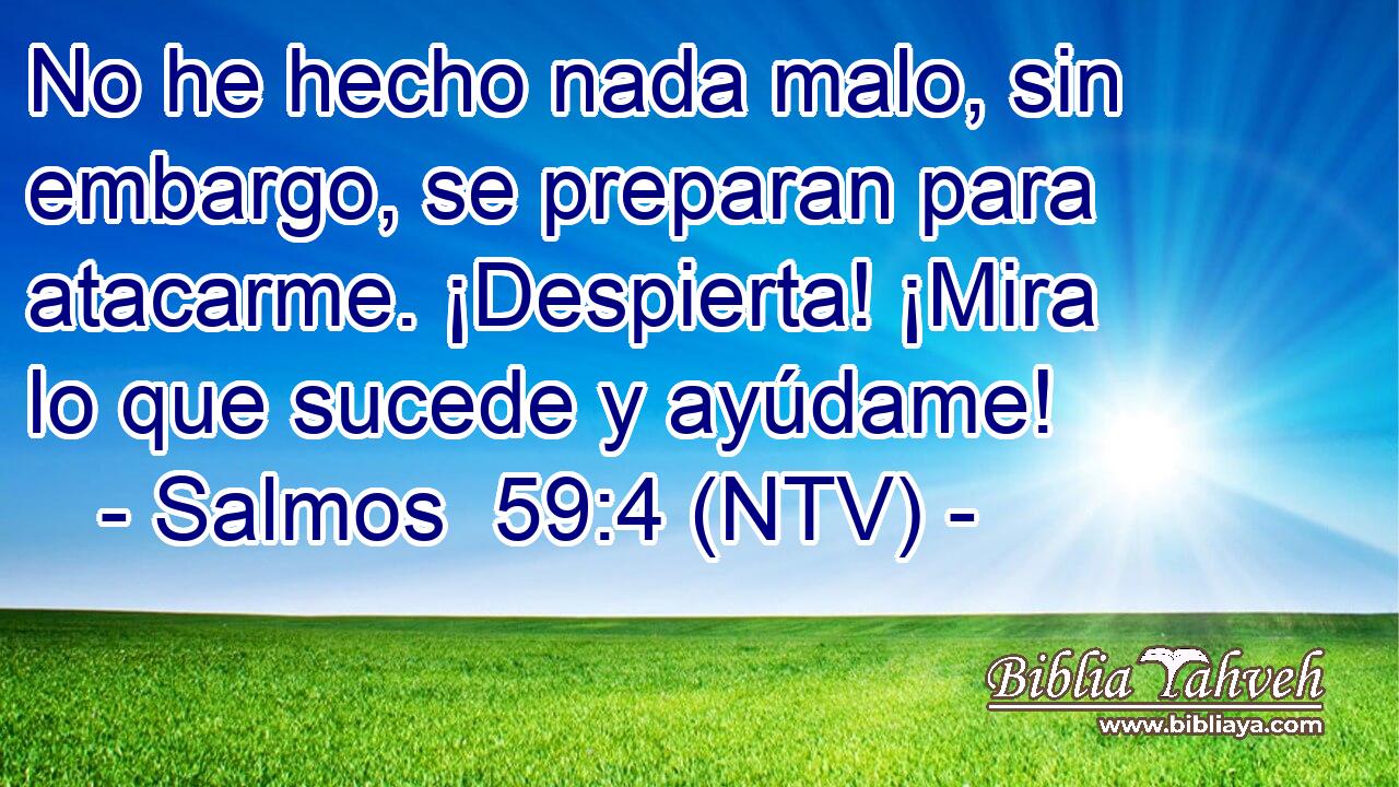 No he hecho nada malo, sin embargo, se preparan para atacarme. ¡Despierta! ¡Mira lo que sucede y ayúdame!