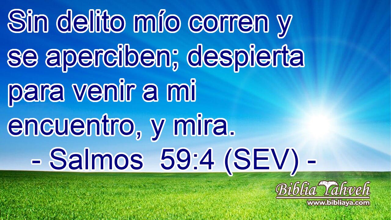 Sin delito mío corren y se aperciben; despierta para venir a mi encuentro, y mira.