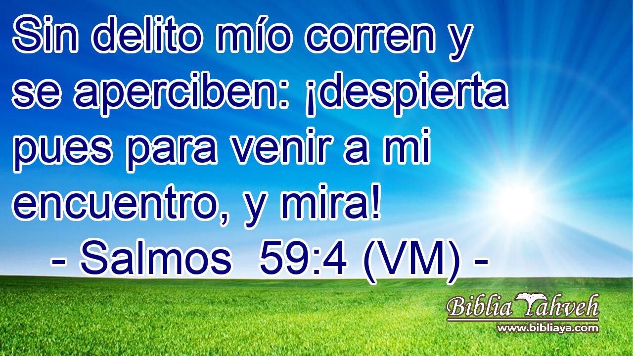  Sin delito mío corren y se aperciben: ¡despierta pues para venir a mi encuentro, y mira! 