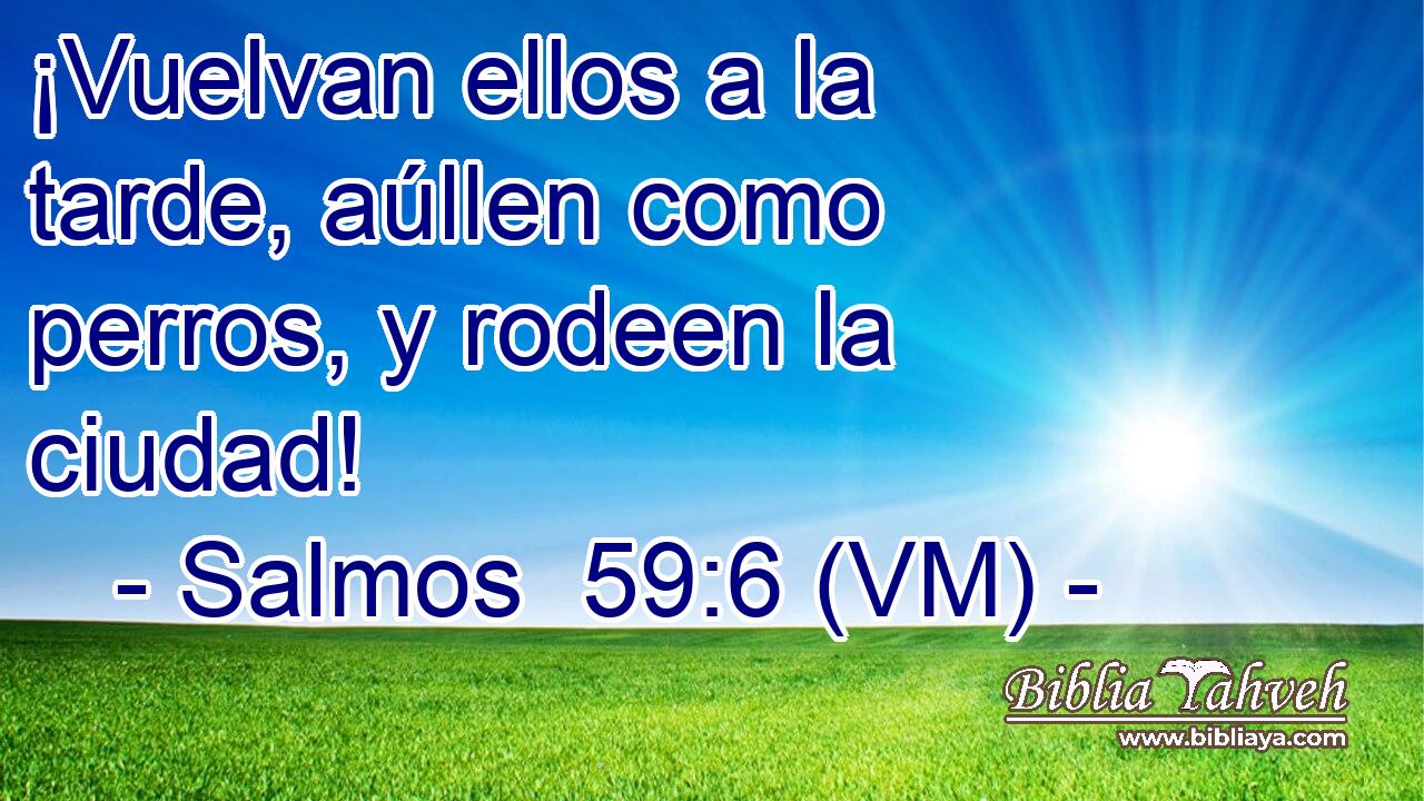  ¡Vuelvan ellos a la tarde, aúllen como perros, y rodeen la ciudad! 
