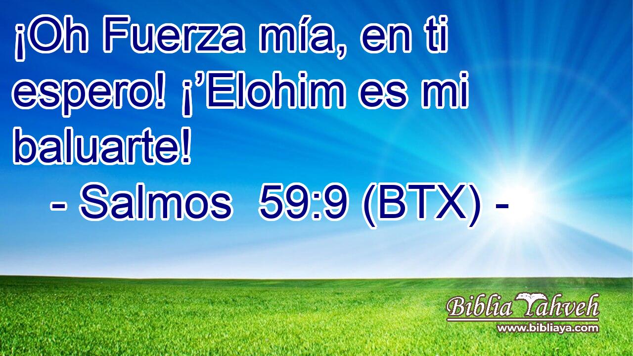 ¡Oh Fuerza mía, en ti espero! ¡’Elohim es mi baluarte!