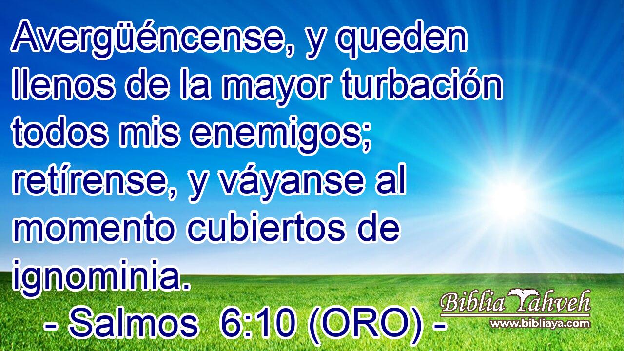  Avergüéncense, y queden llenos de la mayor turbación todos mis enemigos; retírense, y váyanse al momento cubiertos de ignominia. 