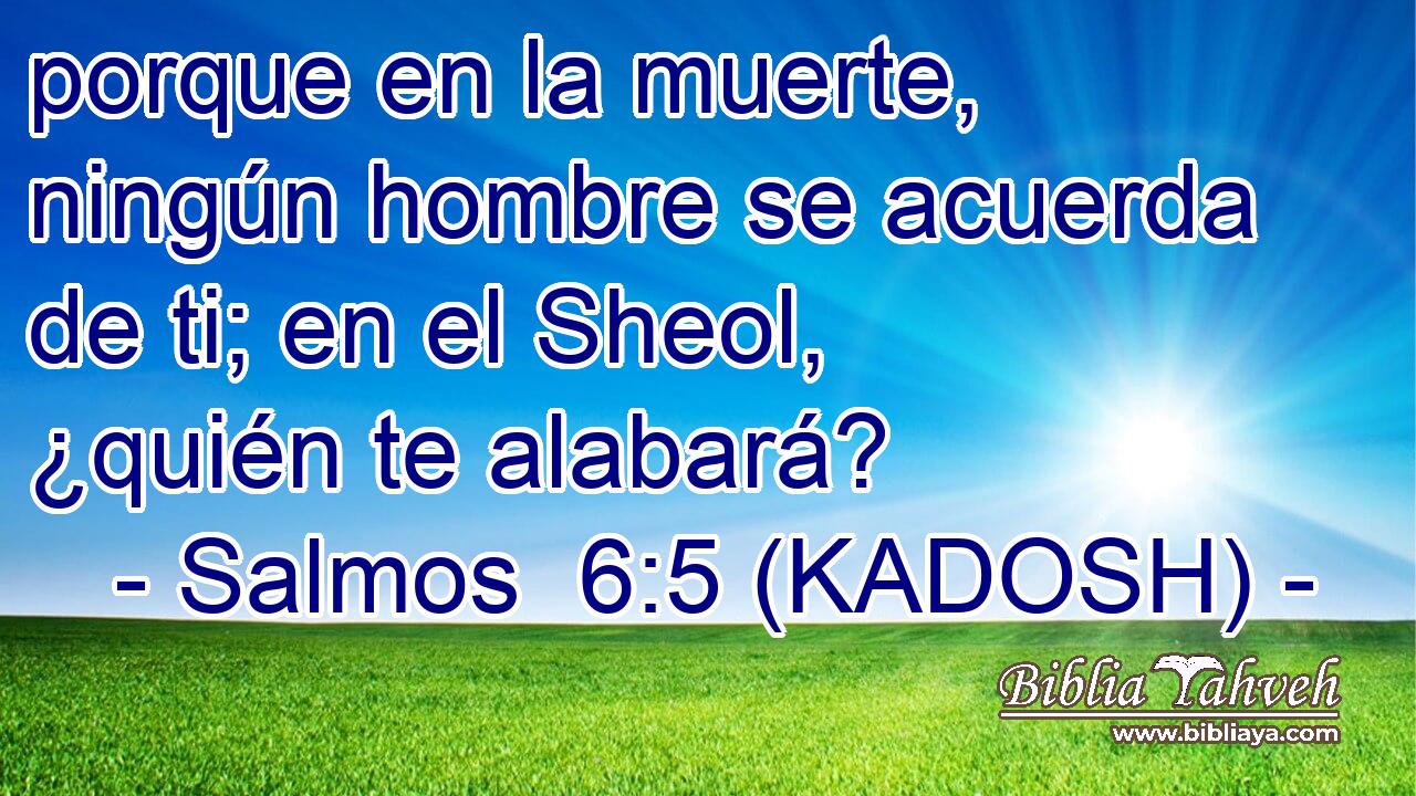  porque en la muerte, ningún hombre se acuerda de ti; en el Sheol, ¿quién te alabará? 