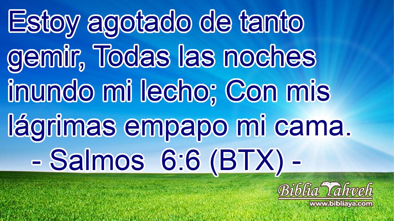 Estoy agotado de tanto gemir, Todas las noches inundo mi lecho; Con mis lágrimas empapo mi cama.