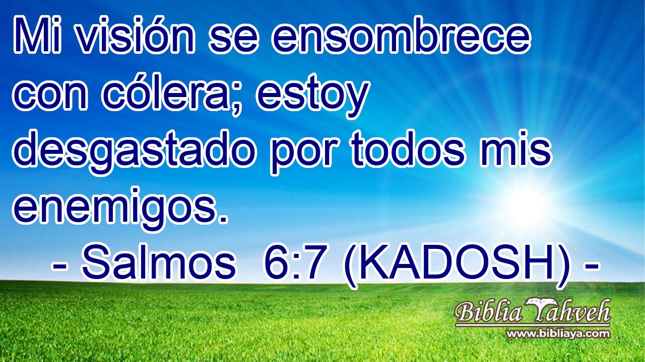  Mi visión se ensombrece con cólera; estoy desgastado por todos mis enemigos. 