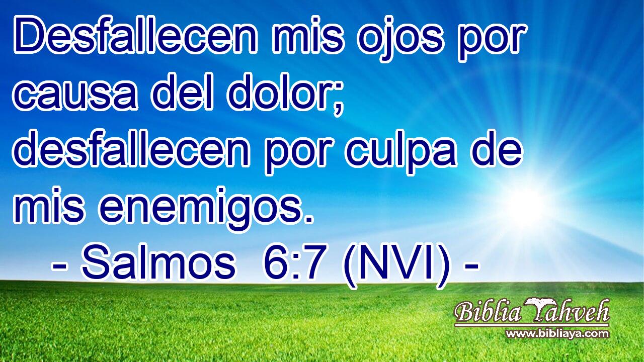  Desfallecen mis ojos por causa del dolor; desfallecen por culpa de mis enemigos. 