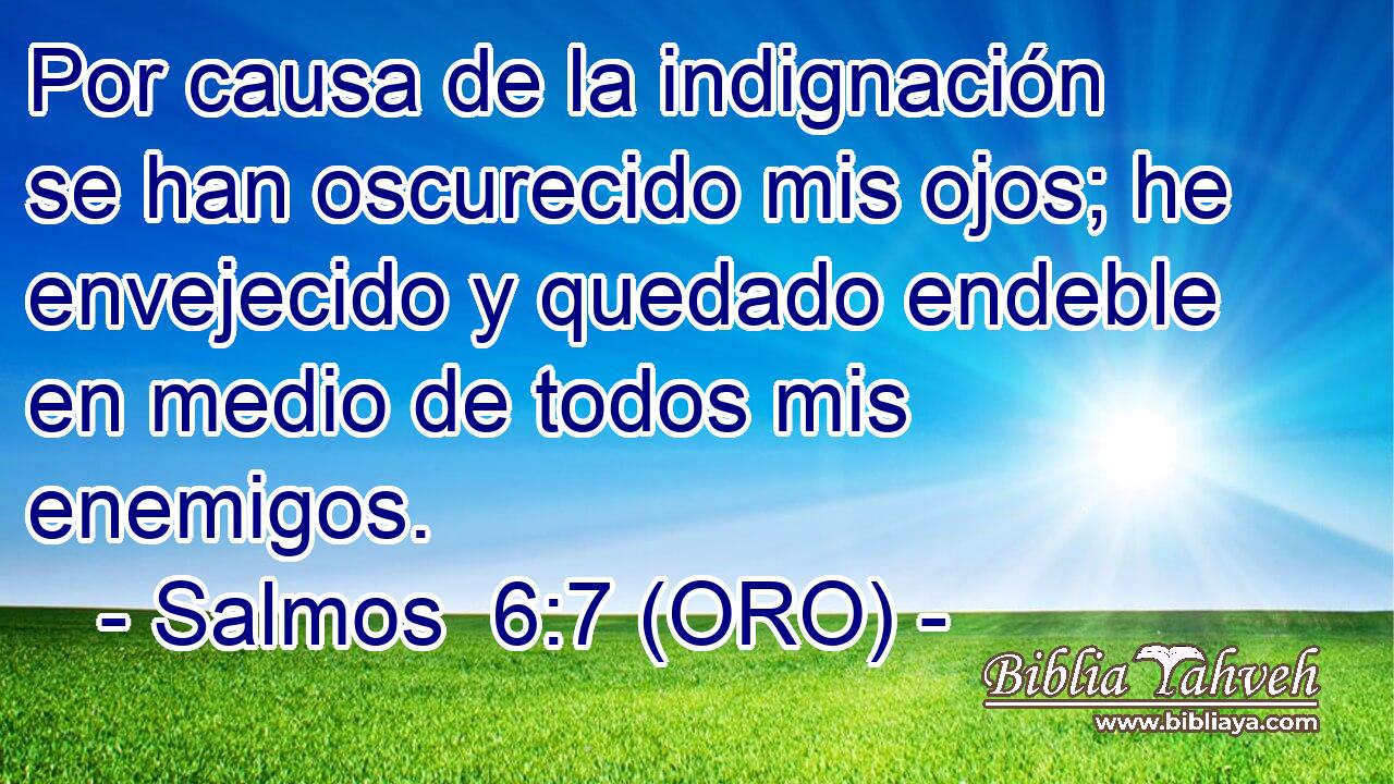  Por causa de la indignación se han oscurecido mis ojos; he envejecido y quedado endeble en medio de todos mis enemigos. 
