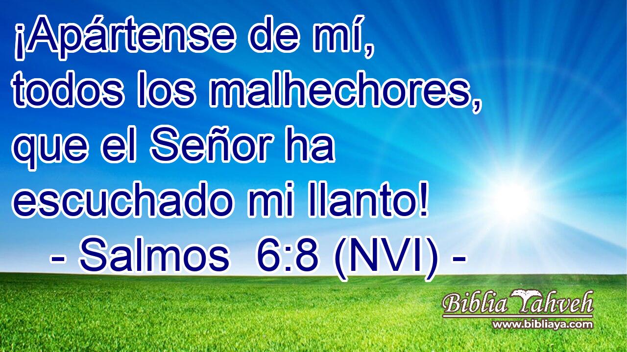  ¡Apártense de mí, todos los malhechores, que el Señor ha escuchado mi llanto! 