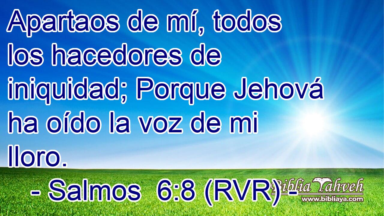 Apartaos de mí, todos los hacedores de iniquidad; Porque Jehová ha oído la voz de mi lloro.