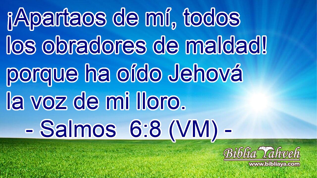  ¡Apartaos de mí, todos los obradores de maldad! porque ha oído Jehová la voz de mi lloro. 