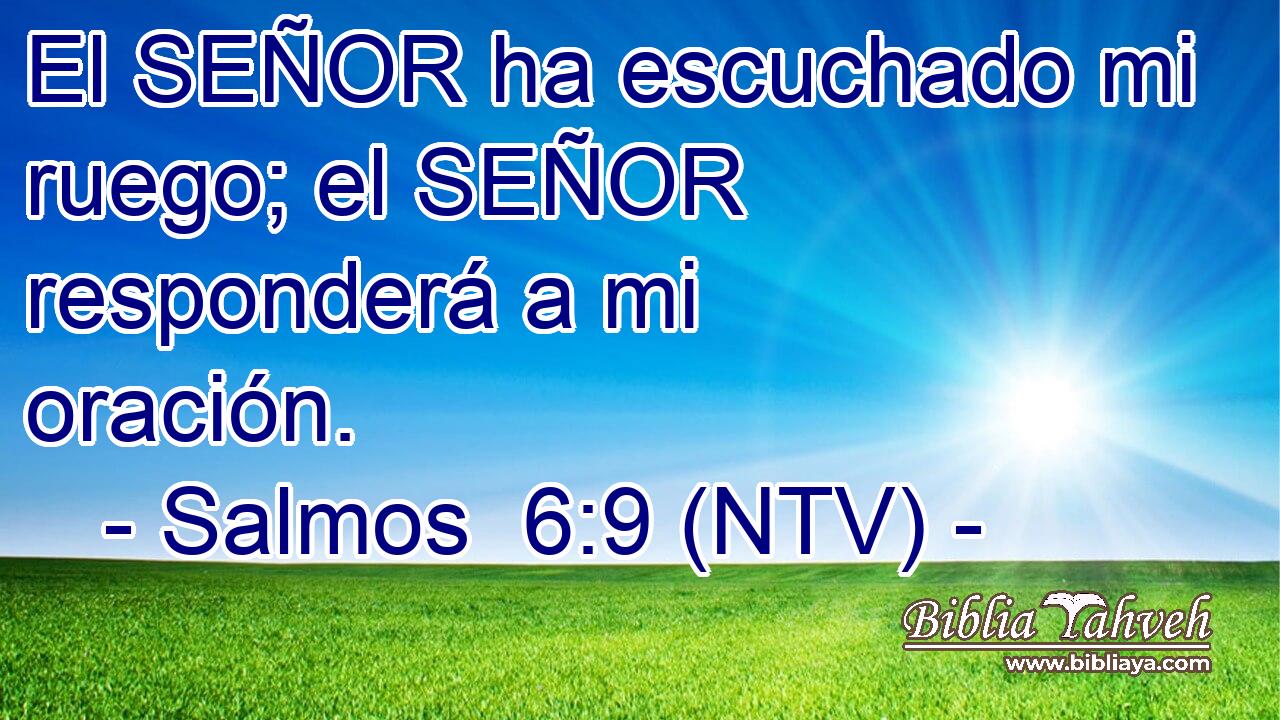 El SEÑOR ha escuchado mi ruego; el SEÑOR responderá a mi oración.