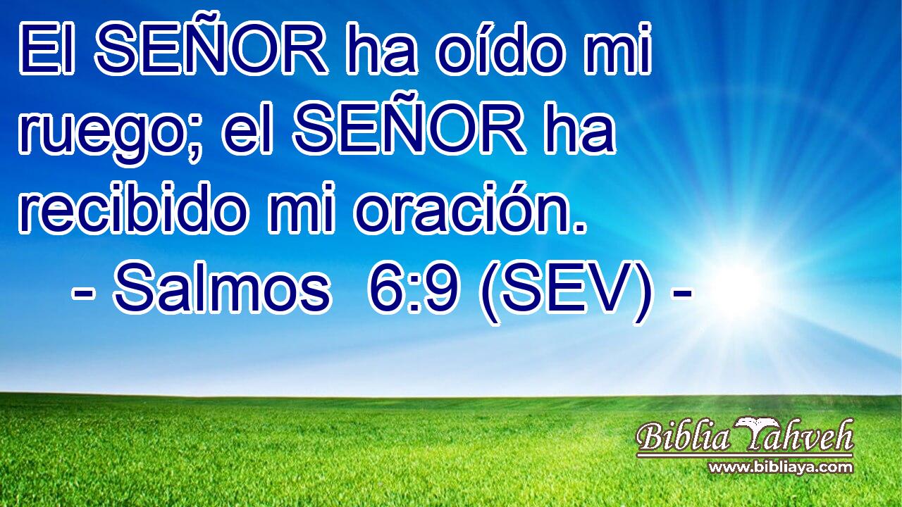 El SEÑOR ha oído mi ruego; el SEÑOR ha recibido mi oración.