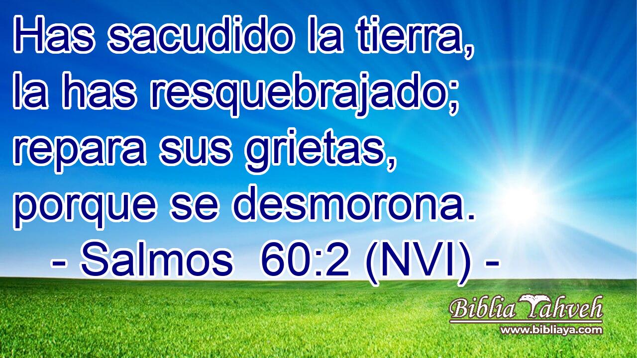  Has sacudido la tierra, la has resquebrajado; repara sus grietas, porque se desmorona. 