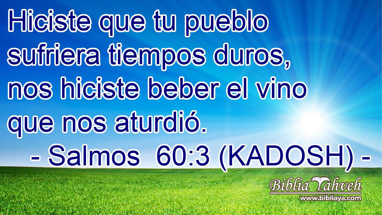  Hiciste que tu pueblo sufriera tiempos duros, nos hiciste beber el vino que nos aturdió. 