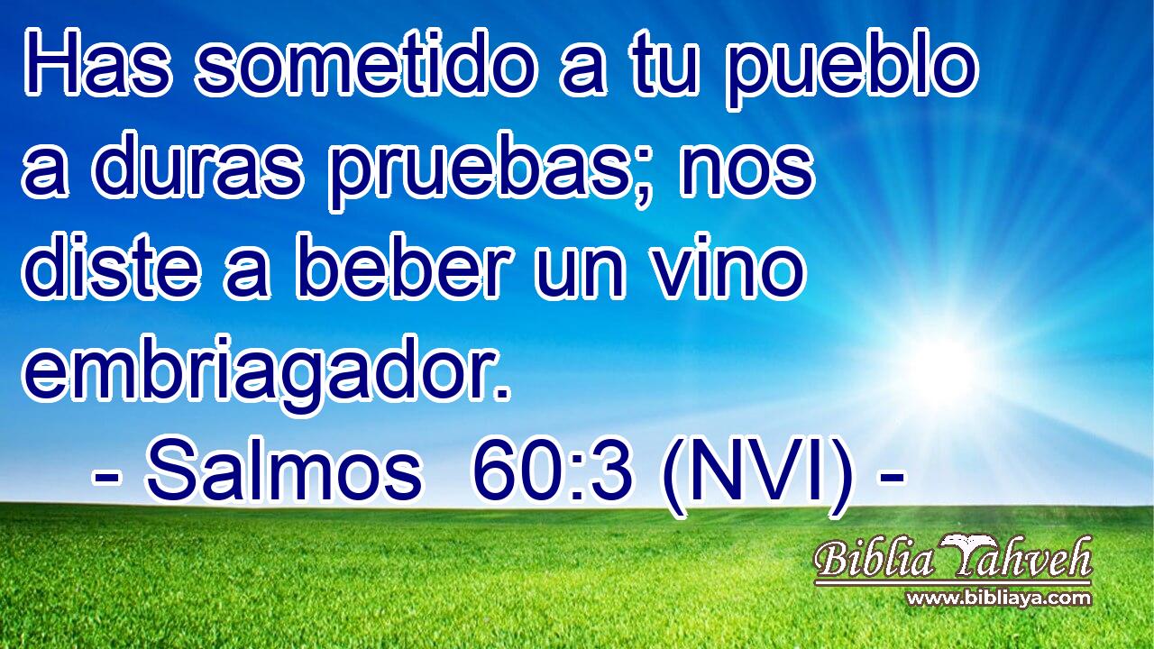 Has sometido a tu pueblo a duras pruebas; nos diste a beber un vino embriagador. 