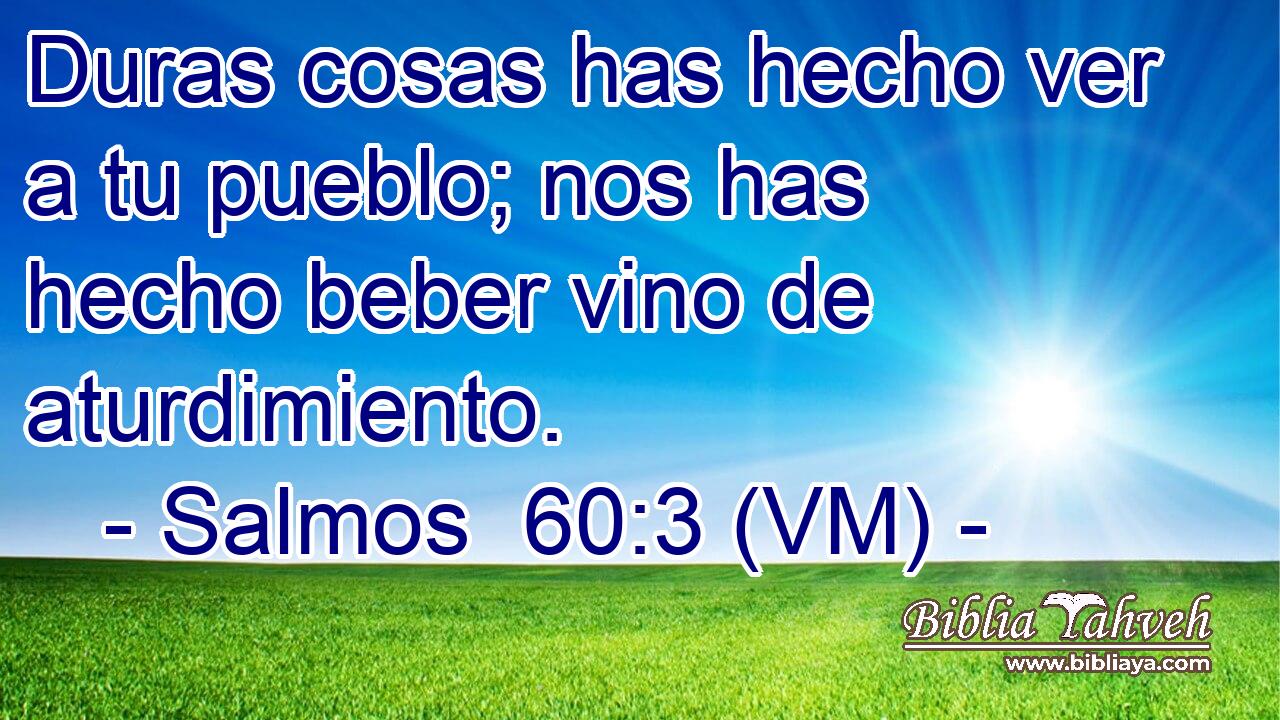  Duras cosas has hecho ver a tu pueblo; nos has hecho beber vino de aturdimiento. 