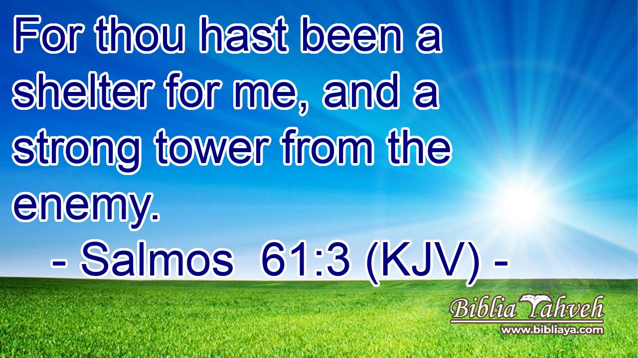 For thou hast been a shelter for me, and a strong tower from the enemy.