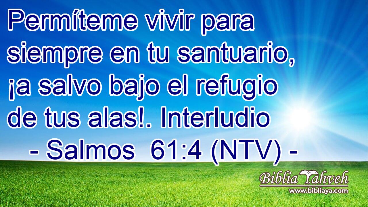 Permíteme vivir para siempre en tu santuario, ¡a salvo bajo el refugio de tus alas!. Interludio