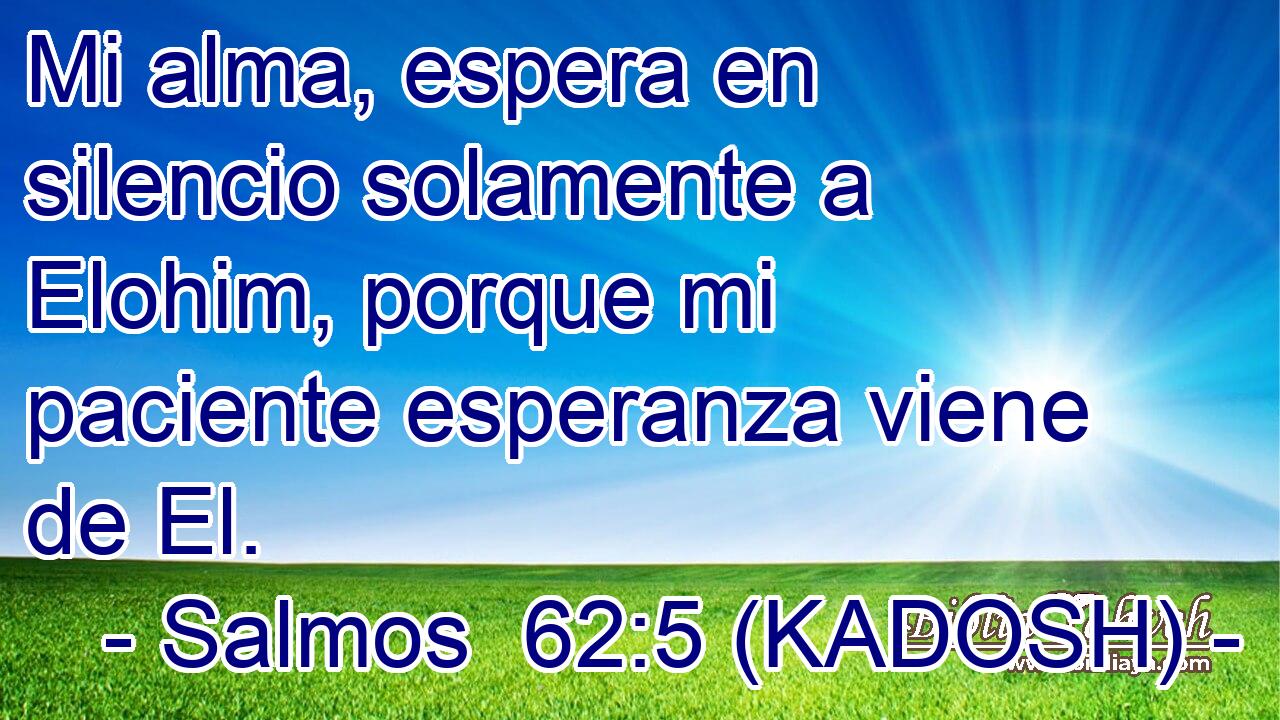  Mi alma, espera en silencio solamente a Elohim, porque mi paciente esperanza viene de El. 