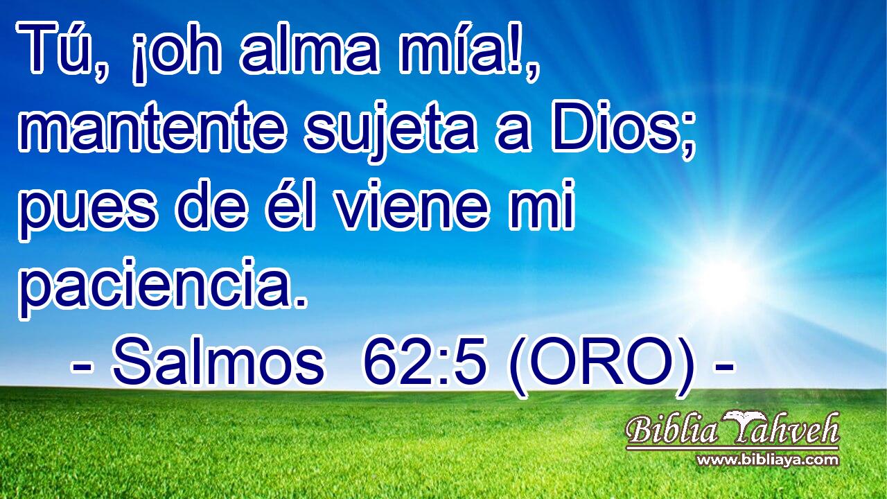  Tú, ¡oh alma mía!, mantente sujeta a Dios; pues de él viene mi paciencia. 