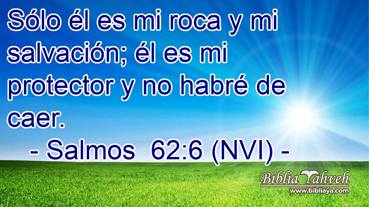  Sólo él es mi roca y mi salvación; él es mi protector y no habré de caer. 